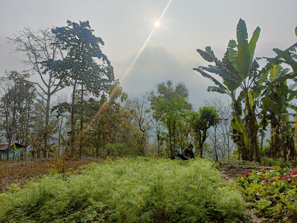 Live In Nature ดาร์จีลิง ภายนอก รูปภาพ