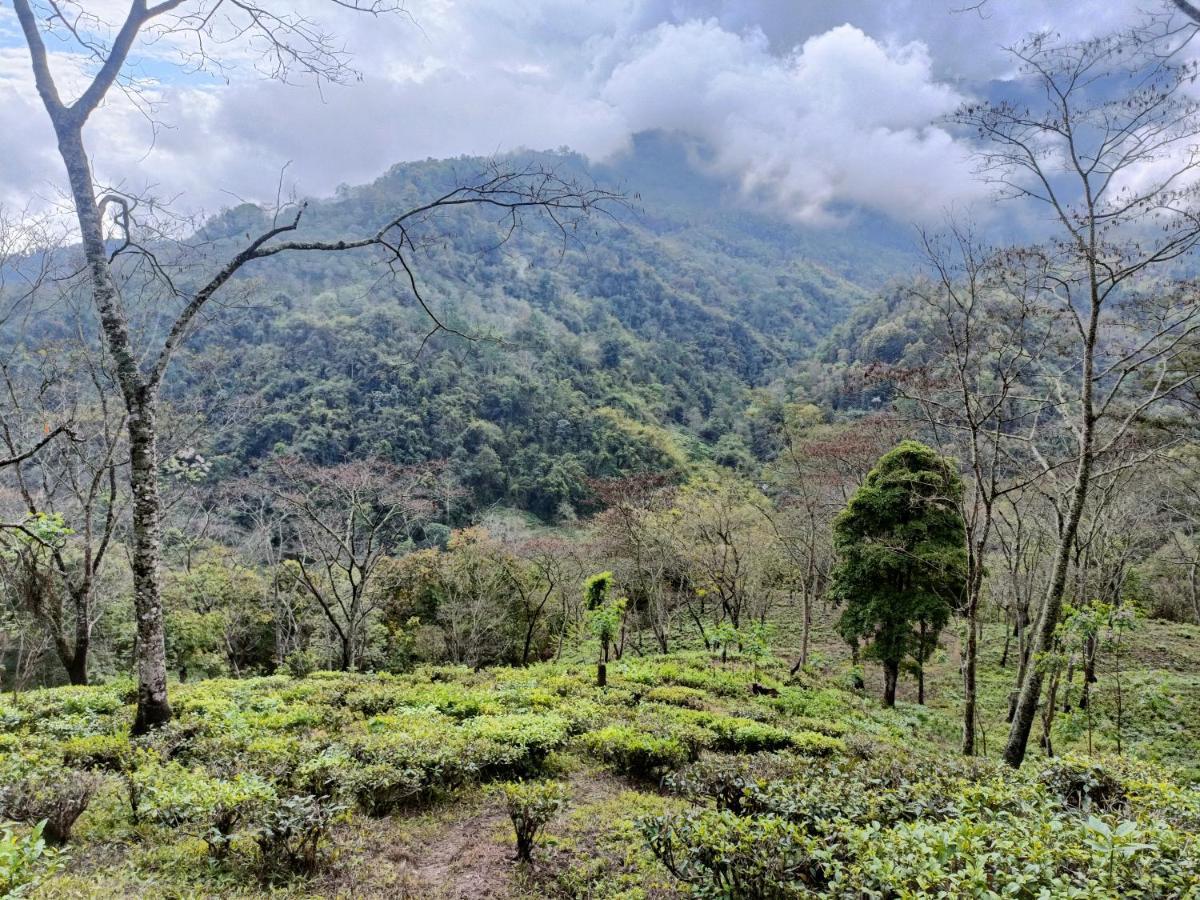 Live In Nature ดาร์จีลิง ภายนอก รูปภาพ
